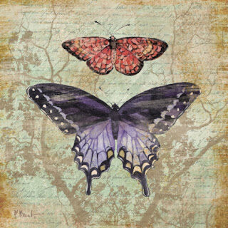 paul-brent-vintage-butterflies-iv5b15d-7796077